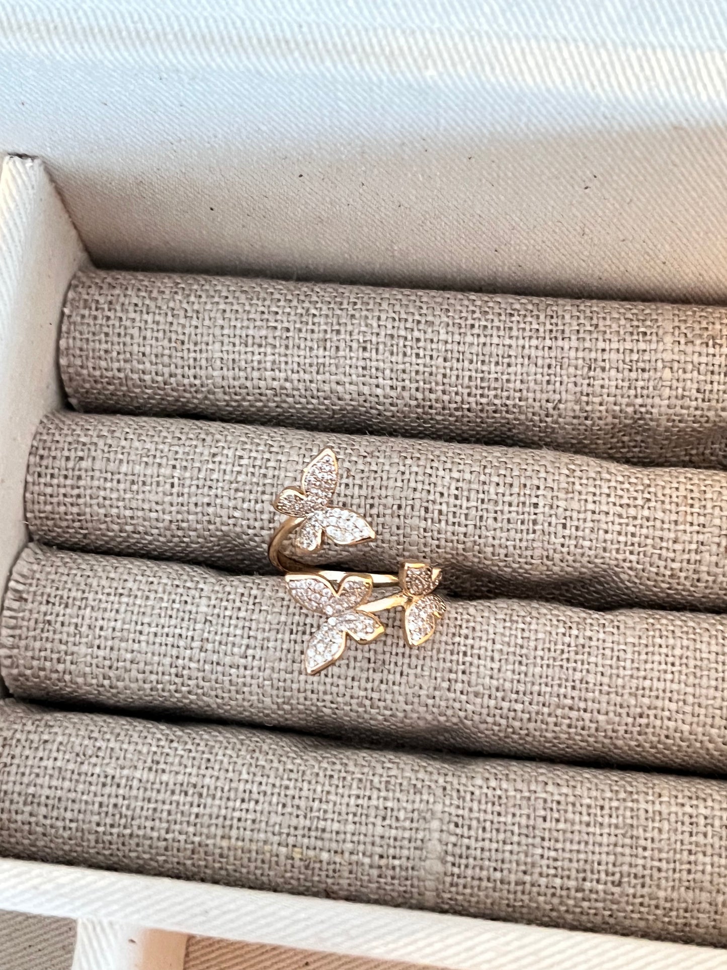 Ring Schmetterling